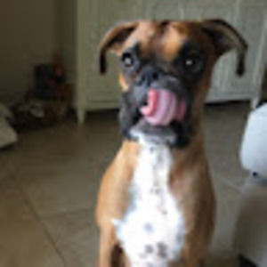 Meet your Posher, Evan